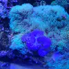 Doug Reynolds - @doug.reynolds03 - TikTok