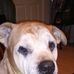 Douglas Oliphant - Facebook