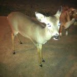 @dougoneal - Instagram