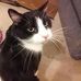 Doug Ota - Facebook