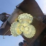 Doug Owen - @doug.owen.7355 - Instagram