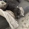 Owen_Douglas - @owen_douglas1 - TikTok