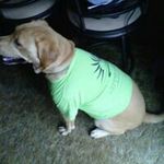 Doug Oyer - @oyerdoug - Instagram