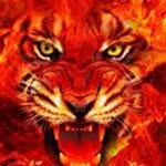 Doug Page - @dougman132 - Instagram