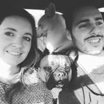 Doug French Bulldog - @doug_paris - Instagram