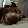 Doug - @dougpassa - TikTok