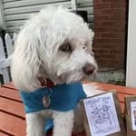 Doug Pass - @pass_doug - Instagram