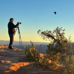 Doug Passey - @dougpassey - Instagram