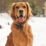Doug Patch - @dougpatch45 - Instagram
