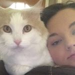 Doug & Peach 🐈 - @dougandpeach - Instagram