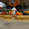 Doug - @dp.603 - TikTok