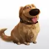 Dougofficialy - @dougofficialy - TikTok