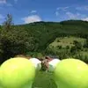 Doug Peel981 - @spugglie - TikTok