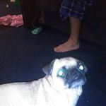 Doug Pence - @doug.pence.31105 - Instagram