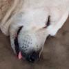 doug - @doug.person - TikTok