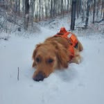 Doug - @dougpersonalaccnt - Instagram