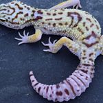 Doug Pierce - @doug.pierce51 - Instagram