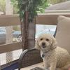 Doug Pope - @doug.pope2 - TikTok