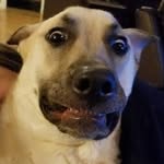 Doug Prescott - @floorslayer - Instagram