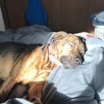 Douglas Prescott - @douglas_prescott - Instagram