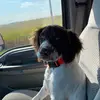 dougcepress - @dougcepress - TikTok