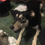 Douglas Prindle - @douglasprindle - Instagram