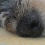 Doug Proctor - @dougp.1 - Instagram