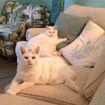 Doug Proctor - @dougbproctor - Instagram