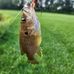 Doug Pugh - Facebook