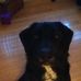 Dougie Pullen - Facebook