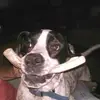 doug - @dougquade7 - TikTok