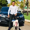 Dougtrader - @dogmarborges8 - TikTok