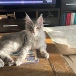 Doug Krahn - @doug.krahn - Instagram