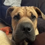 Doug Ranger - Facebook