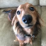 Ranger Doug - @ranger.doug - Instagram