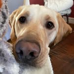 Ranger Doug - @ranger.doug.beck - Instagram