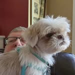 Doug Ransom - @dougr4fsu - Instagram