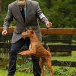 Doug Rapport - @dougrapport_realestate - Instagram