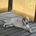 Doug Rath - Facebook