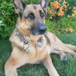 Doug Ratner - Facebook