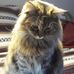 Doug Rausch - Facebook