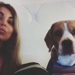 Rawson Douglas - @rawsondouglas_beagle - Instagram