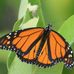 Doug Rayner Wildlife Refuge - Facebook