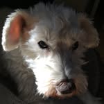 Doug Redmond - @redmond.doug - Instagram