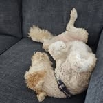 Doug Reese - @reeseder - Instagram