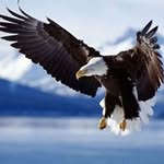 Doug Rich - @doug.rich - Instagram