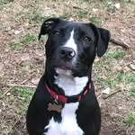 @dougrich958 - Instagram