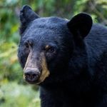 Doug Richter - @doug.richter.79 - Instagram