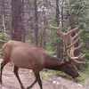 douglasrichter2 - @douglasrichter2 - TikTok