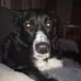Doug Riddle - Facebook